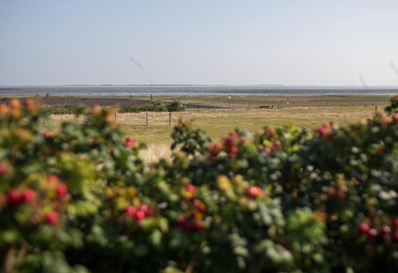 Haus Bräätlun Ferienwohnung Bräätlun 4 Norddorf auf Amrum Exterior foto