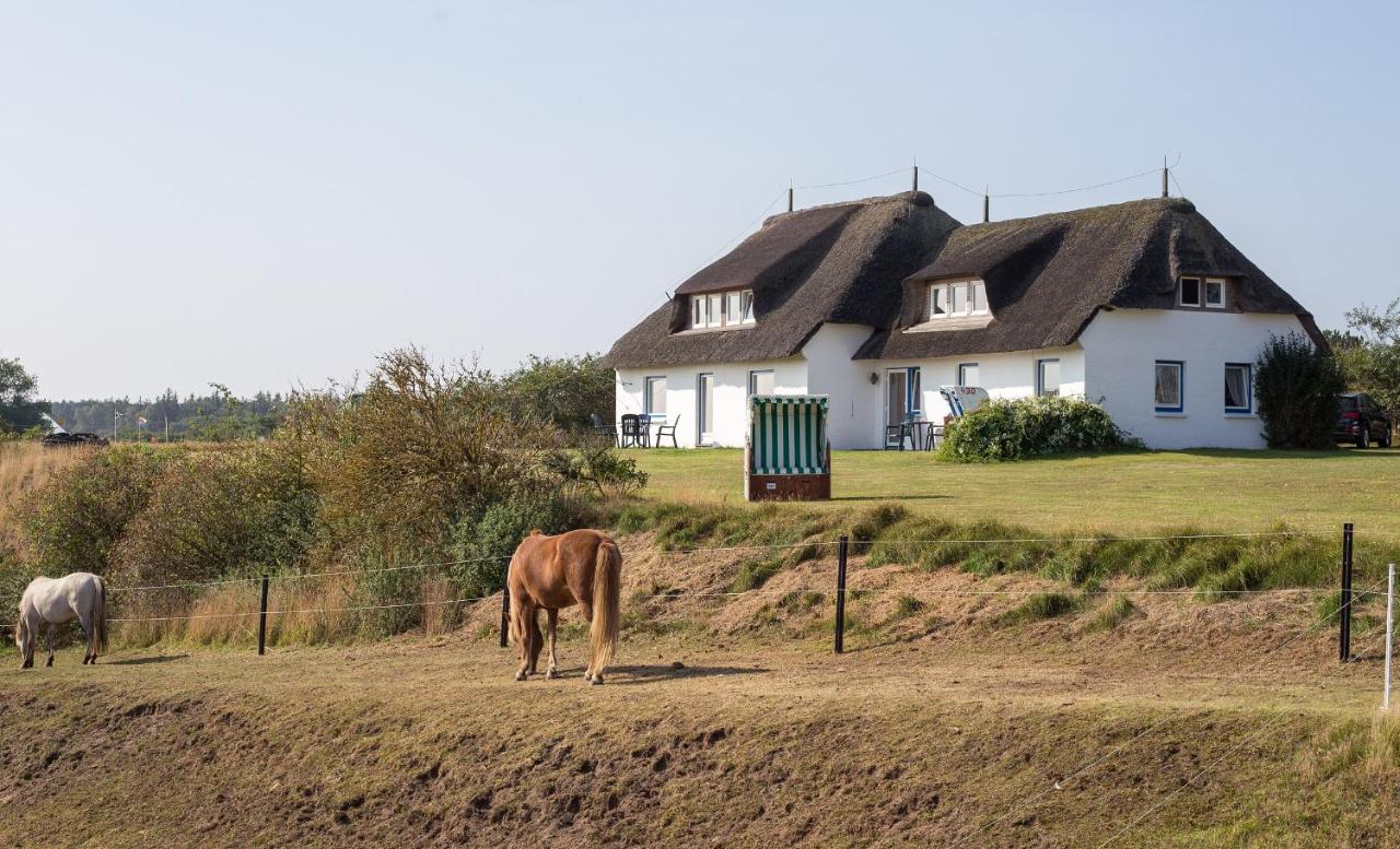Haus Bräätlun Ferienwohnung Bräätlun 4 Norddorf auf Amrum Exterior foto
