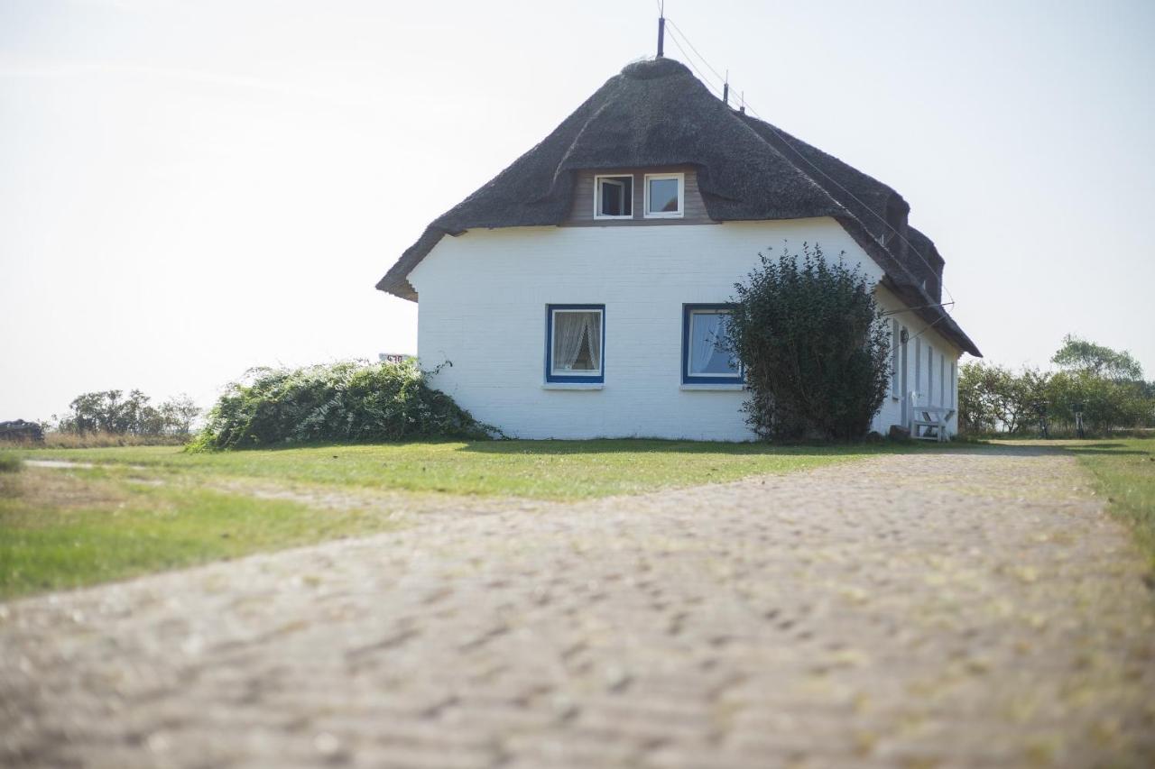 Haus Bräätlun Ferienwohnung Bräätlun 4 Norddorf auf Amrum Exterior foto