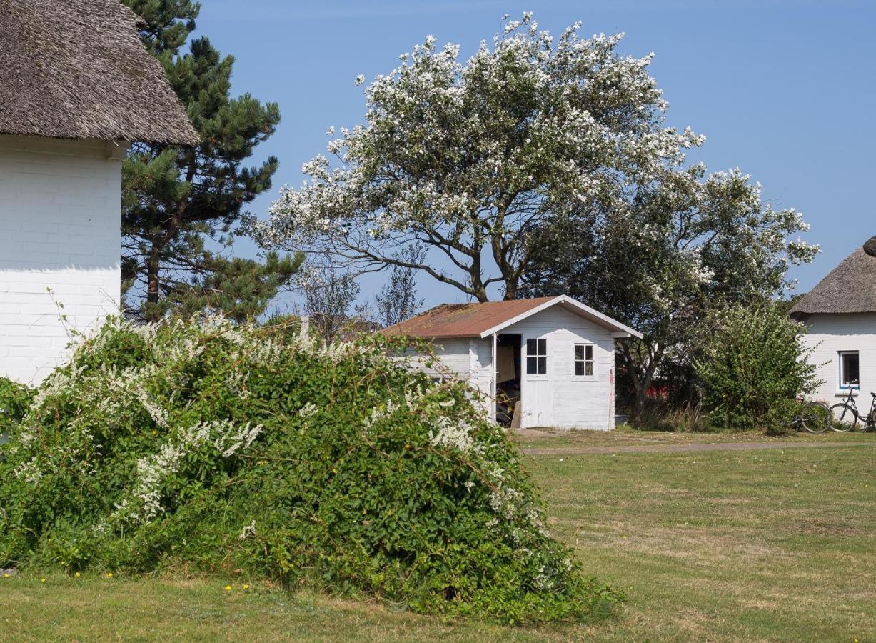 Haus Bräätlun Ferienwohnung Bräätlun 4 Norddorf auf Amrum Exterior foto